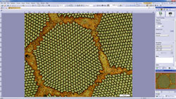 金相显微镜 BX51/BX51M