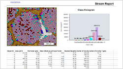金相显微镜 BX51/BX51M