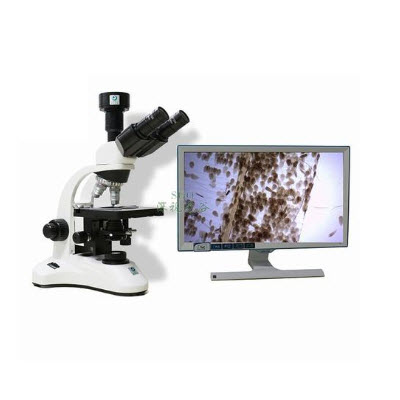 生物显微镜 SGO-PH50