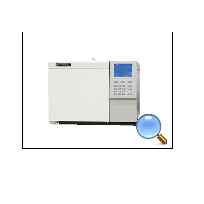 气相色谱仪 SP-6800A6型