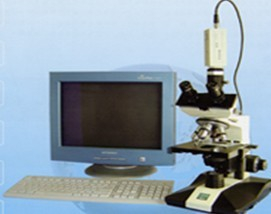 三目摄像生物显微镜 SQXSP-Z
