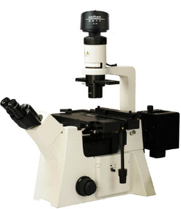 倒置无穷远荧光显微镜 DFM-80C