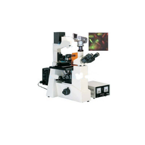 数码型倒置荧光显微镜 DFM-60D