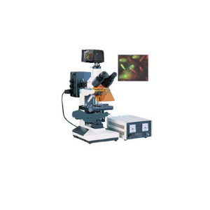 数码型落射荧光显微镜 DFM-50D