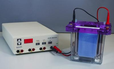 Mini V-GES（Western Blot系统）