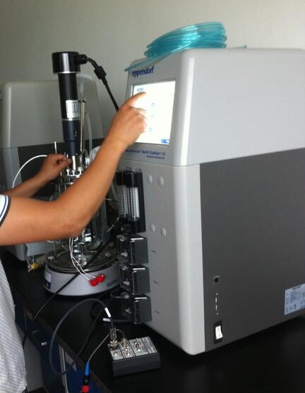 发酵罐生物反应器 BioFlo/CelliGen 115