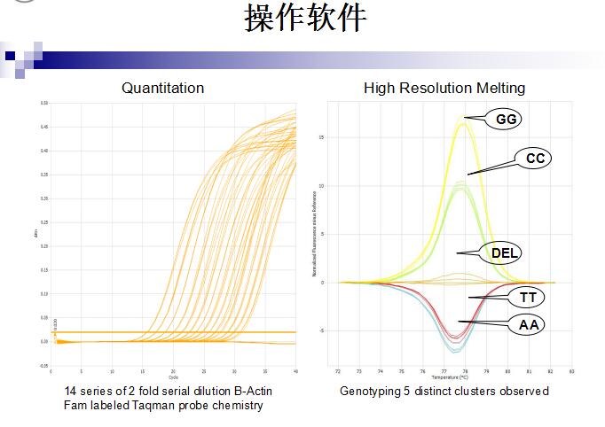 实时荧光定量PCR仪系统 Eco