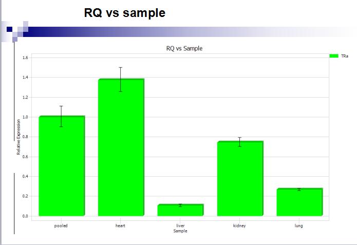 实时荧光定量PCR仪系统 Eco