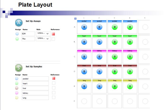 实时荧光定量PCR仪系统 Eco