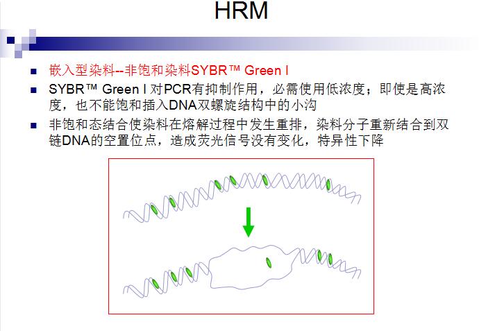 实时荧光定量PCR仪系统 Eco