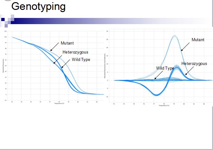 实时荧光定量PCR仪系统 Eco