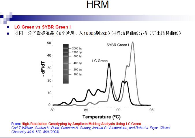 实时荧光定量PCR仪系统 Eco