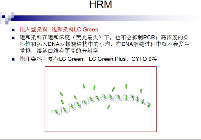 实时荧光定量PCR仪系统 Eco