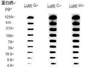 专业级化学发光成像系统 Omega Lum C