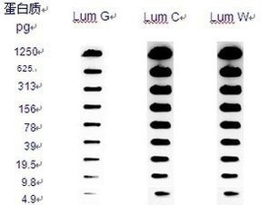 化学发光多色荧光成像系统 Omega Lum W