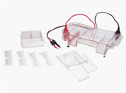 多功能水平电泳槽 HE-120