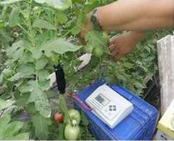 茎流量测定仪 ECA-YL03