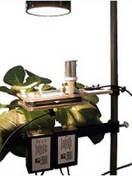 教学实验光合作用仪 PH1LP