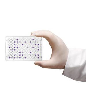 手动微生物鉴定系统 Microlog M