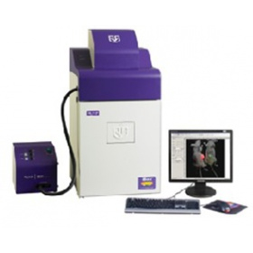 凝胶成像系统 iBox Scientia 600