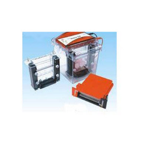 迷你垂直电泳仪 SE300miniVE