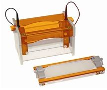 mini垂直电泳系统 MV-10wd