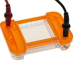 EZ-Agarose 一体化凝胶电泳系统 A0001