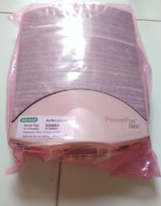 基础电泳仪 164-5050