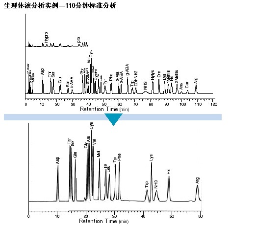 全自动氨基酸分析仪 L-8900