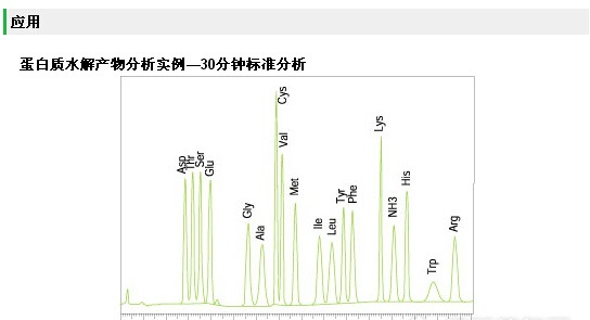 全自动氨基酸分析仪 L-8900