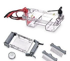 Sub System 水平电泳槽 E0350