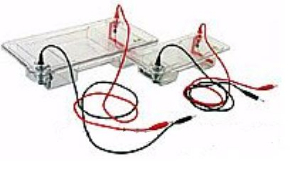 君意东方电泳槽 JY-SP-C