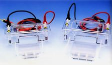 小型水平电泳槽 MGU系列