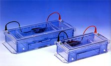 潜水/水平电泳槽 SGU-T系列