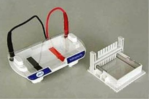 琼脂糖水平电泳槽 WS-HS1