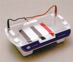 多功能水平电泳槽 HM—I