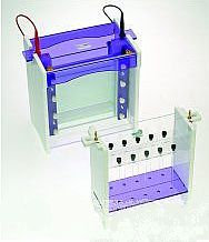 模块电泳/双向电泳 Genie 1