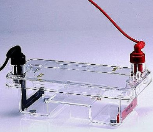 迷你水平电泳槽 1011001