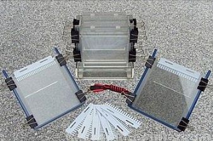 双垂直电泳槽 XH-CZ05