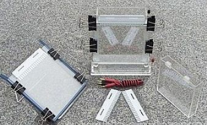 单垂直电泳槽 XH-CZ04