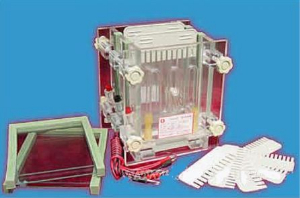 双板夹芯式垂直电泳槽 DG-28C