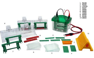 电泳系统 MP-8005