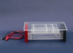 琼脂糖水平电泳槽 RDY-SP6