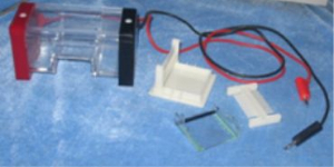 琼脂糖水平电泳槽 RDY-SP2Z