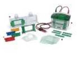 Sequi-Gen GT IPC测序电泳槽 165-3881