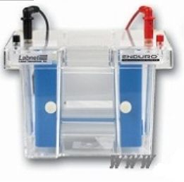 Enduro垂直电泳系统 E2010系列