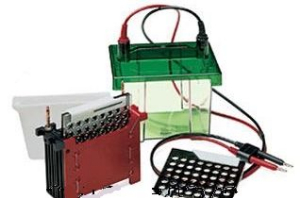 小型蛋白转印槽 mini Trans-Blot