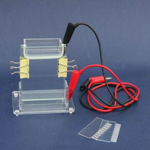 单板垂直电泳槽 CC-B