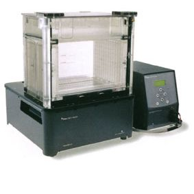 大规模垂直电泳系统 Ettan DALT 12