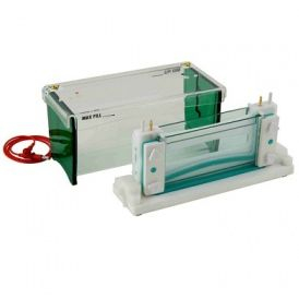 双板宽迷你垂直电泳 TV200